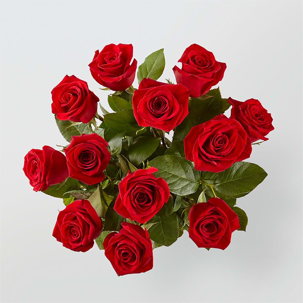 Long Stem Red Rose Bouquet – Haggen, Bellingham WA