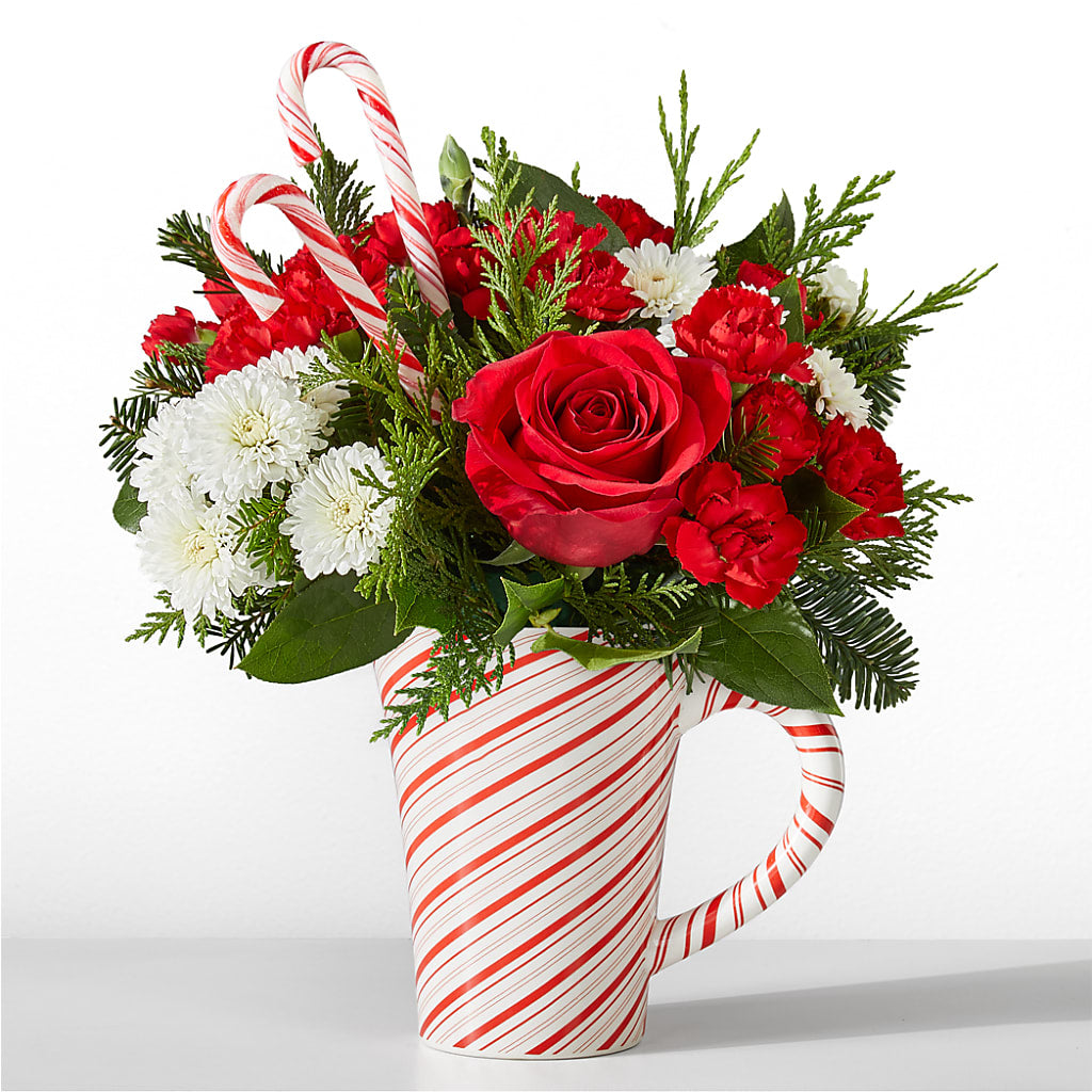 Peppermint Swirl Mug – Haggen, Bellingham WA