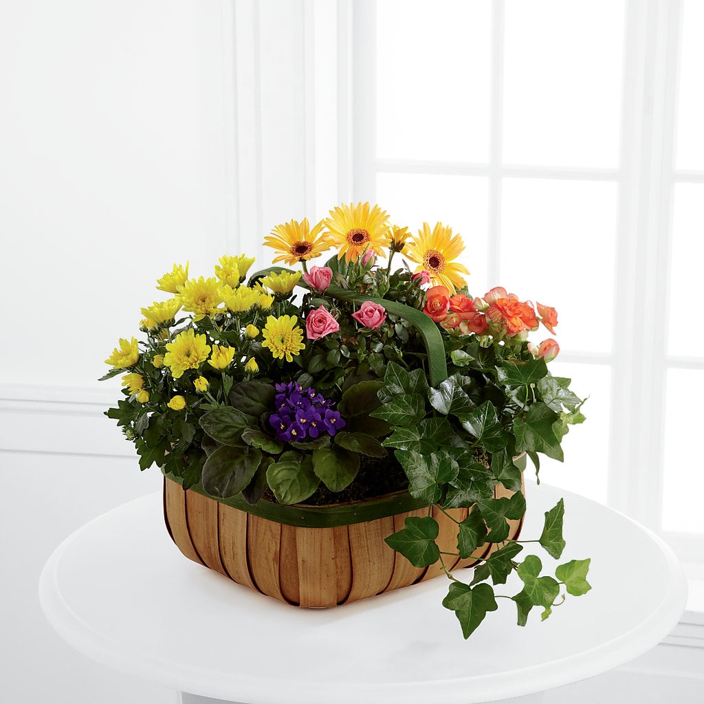 Gentle Blossoms Basket – Haggen, Bellingham WA