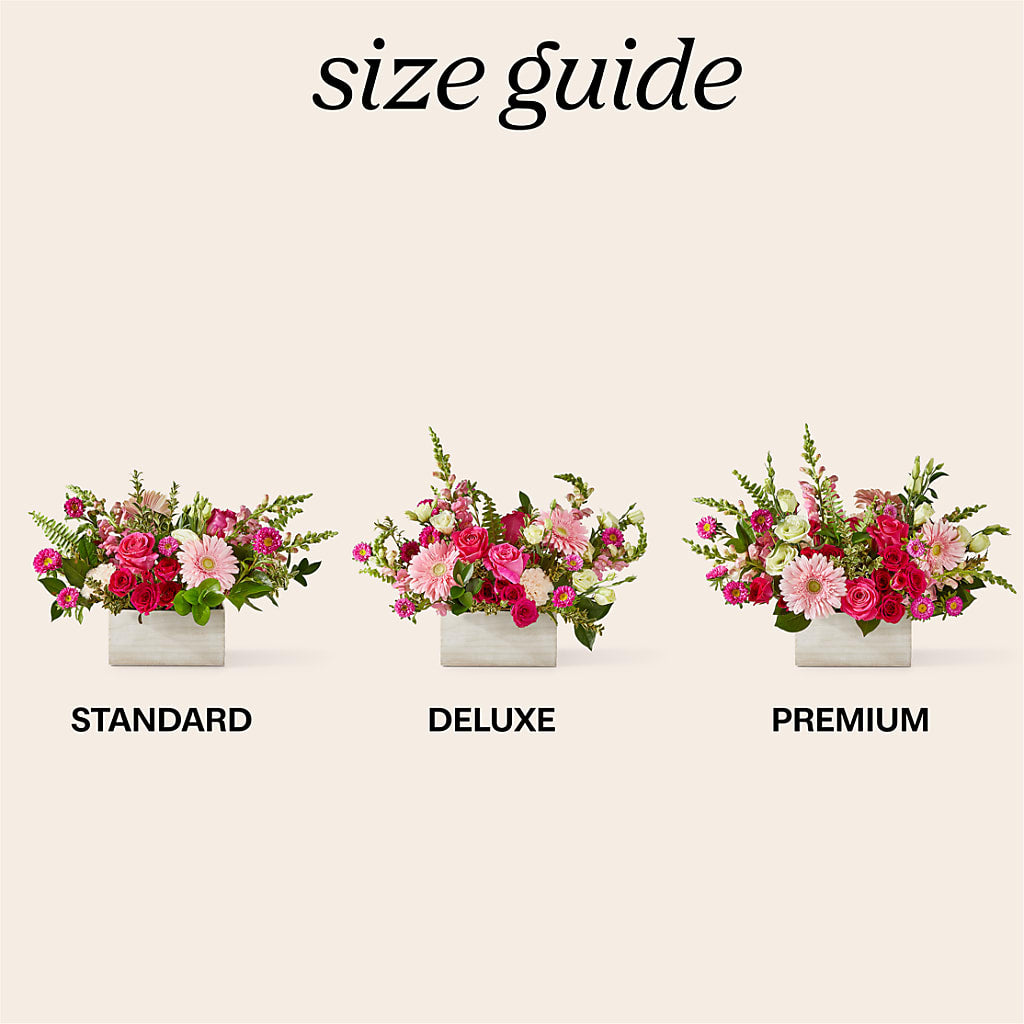 Too Cute Bouquet – Haggen, Bellingham WA