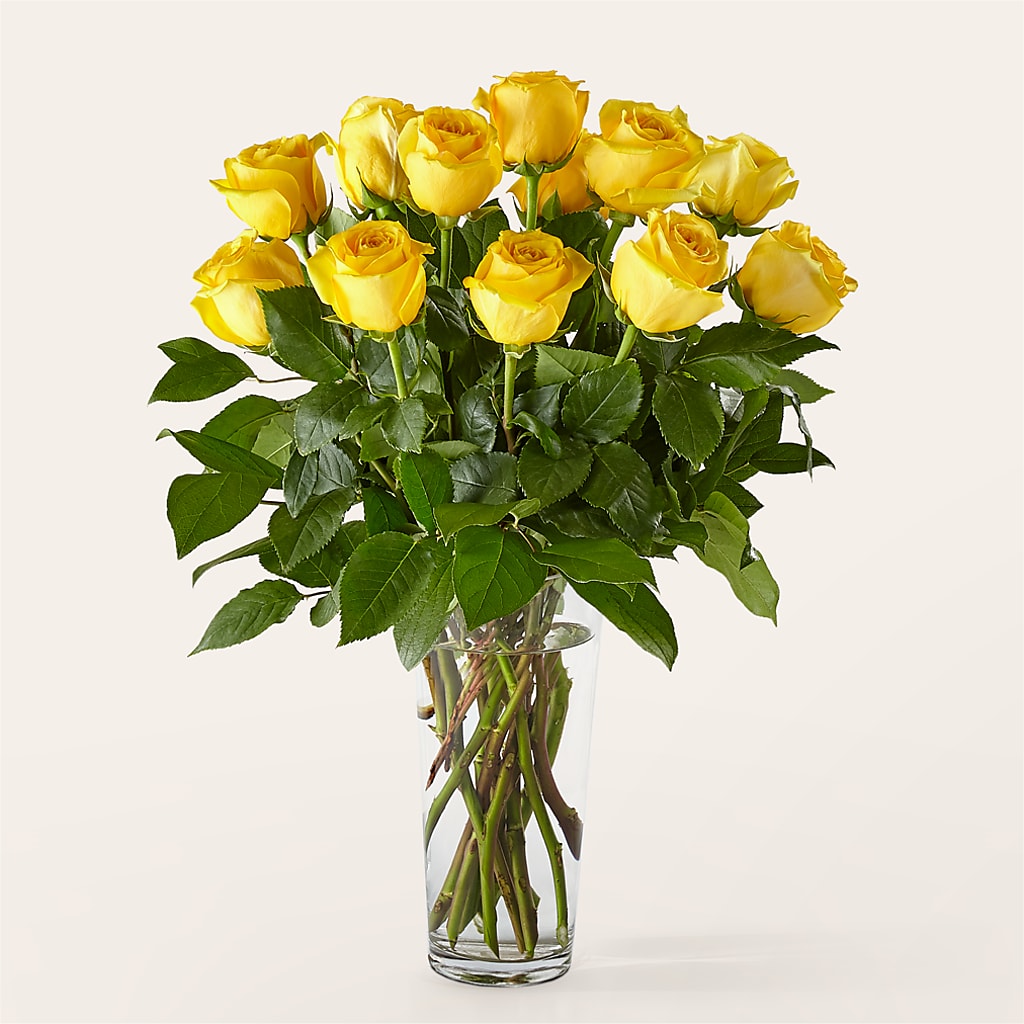 Long Stem Yellow Rose Bouquet – Haggen, Bellingham WA