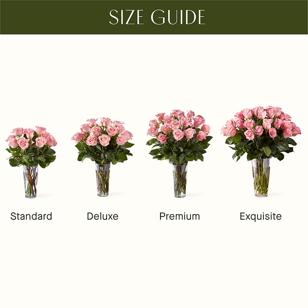 Long Stem Pink Rose Bouquet – Haggen, Bellingham WA
