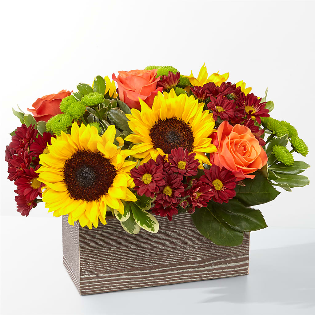 Happy Harvest Garden – Haggen, Bellingham WA