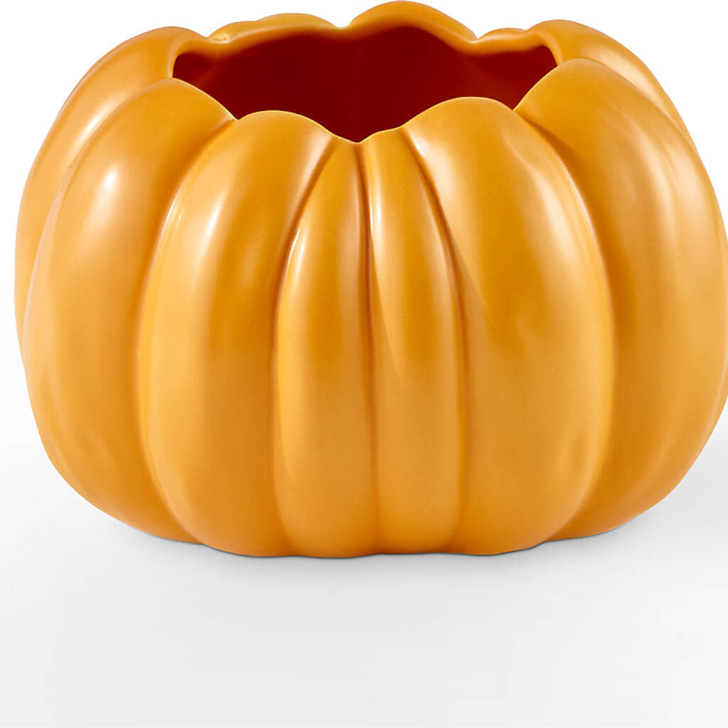 Pick of the Patch Pumpkin Bouquet – Haggen, Bellingham WA
