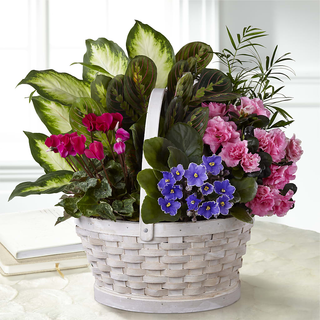 Peaceful Garden Planter – Haggen, Bellingham WA