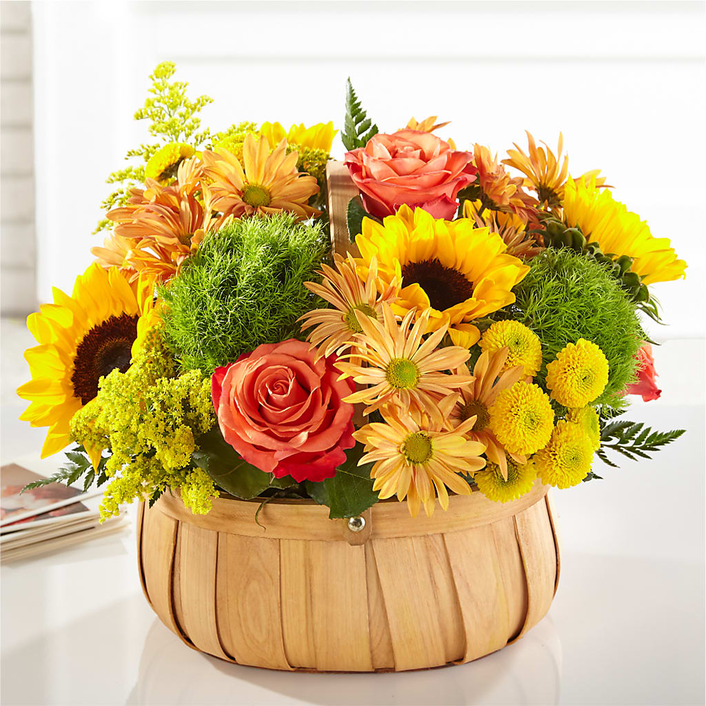 Harvest Sunflower Basket – Haggen, Bellingham WA