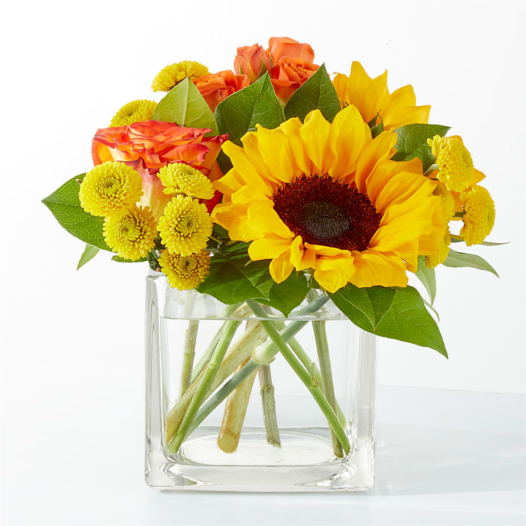 Picnic in the Park Bouquet – Haggen, Bellingham WA