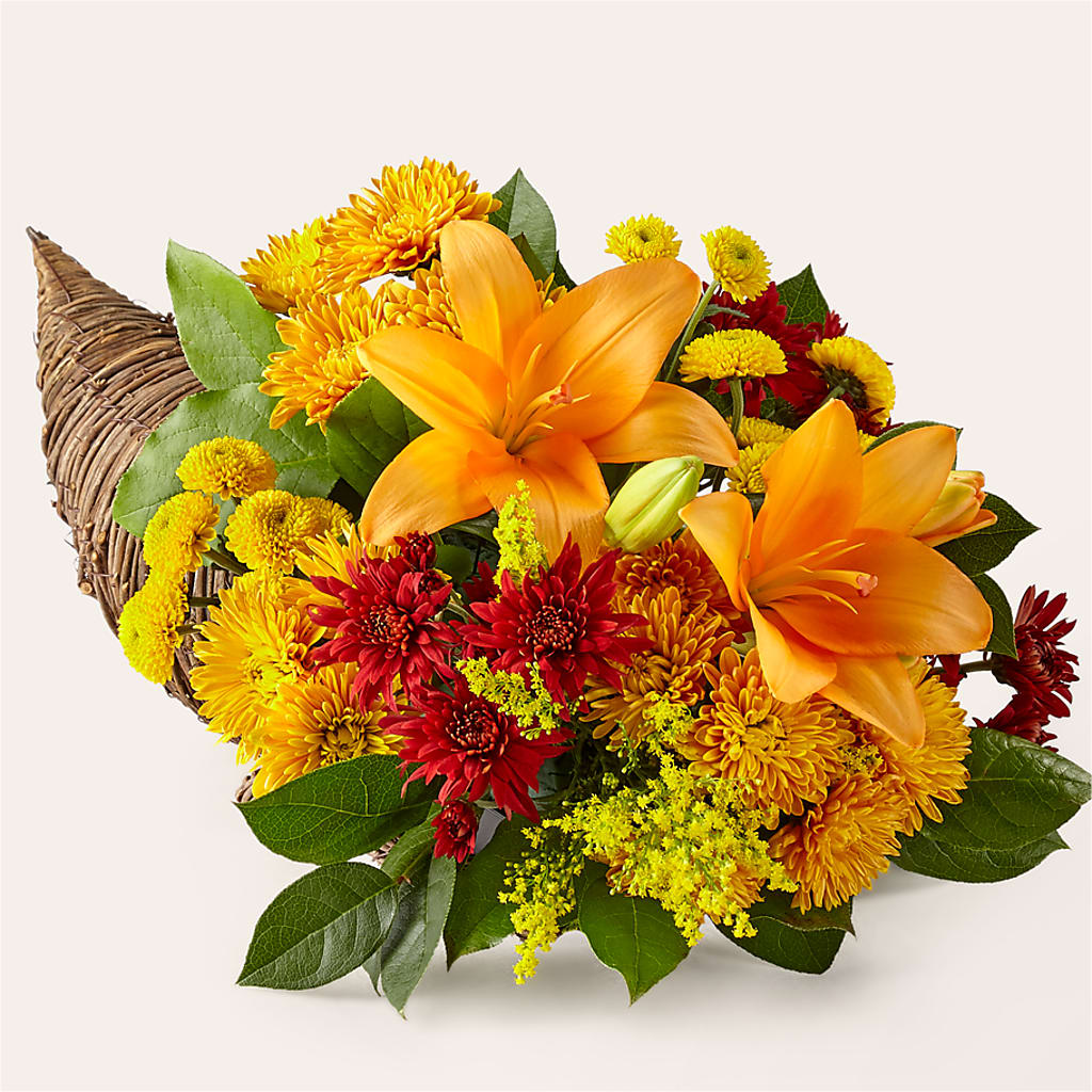 Feast of Color Cornucopia – Haggen, Bellingham WA