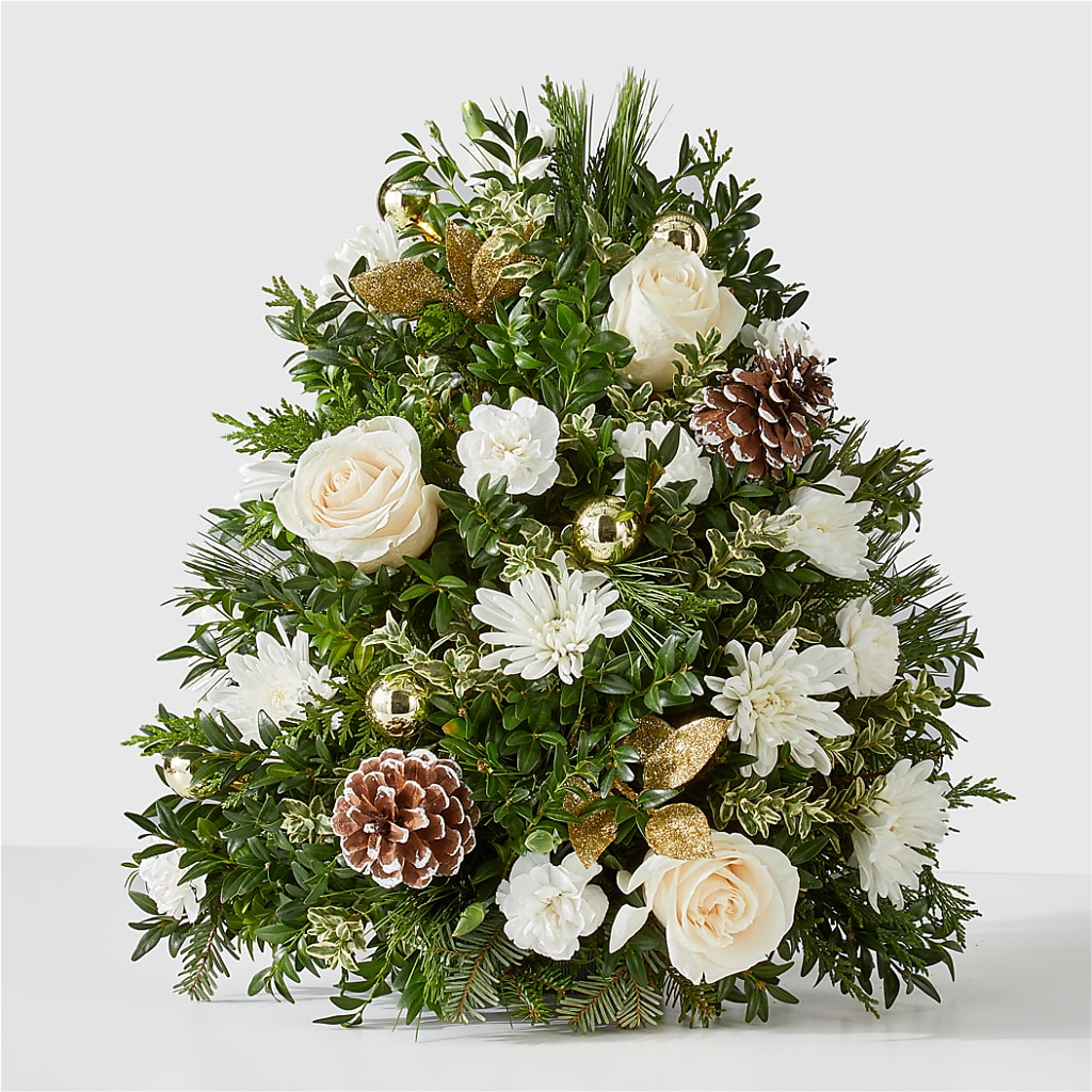 Snowed In Tree – Haggen, Bellingham WA