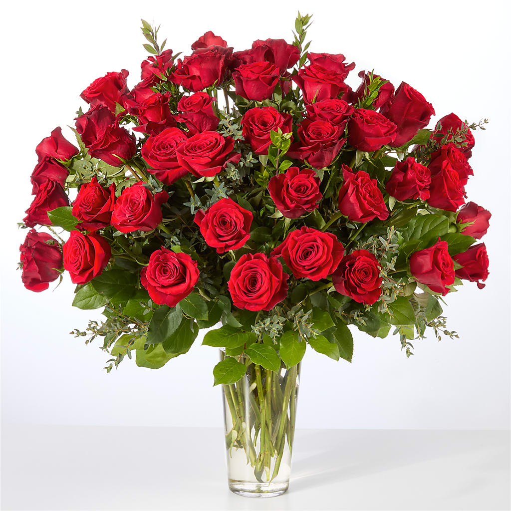 Forever Yours Fifty Stem Red Rose Bouquet – Haggen, Bellingham WA