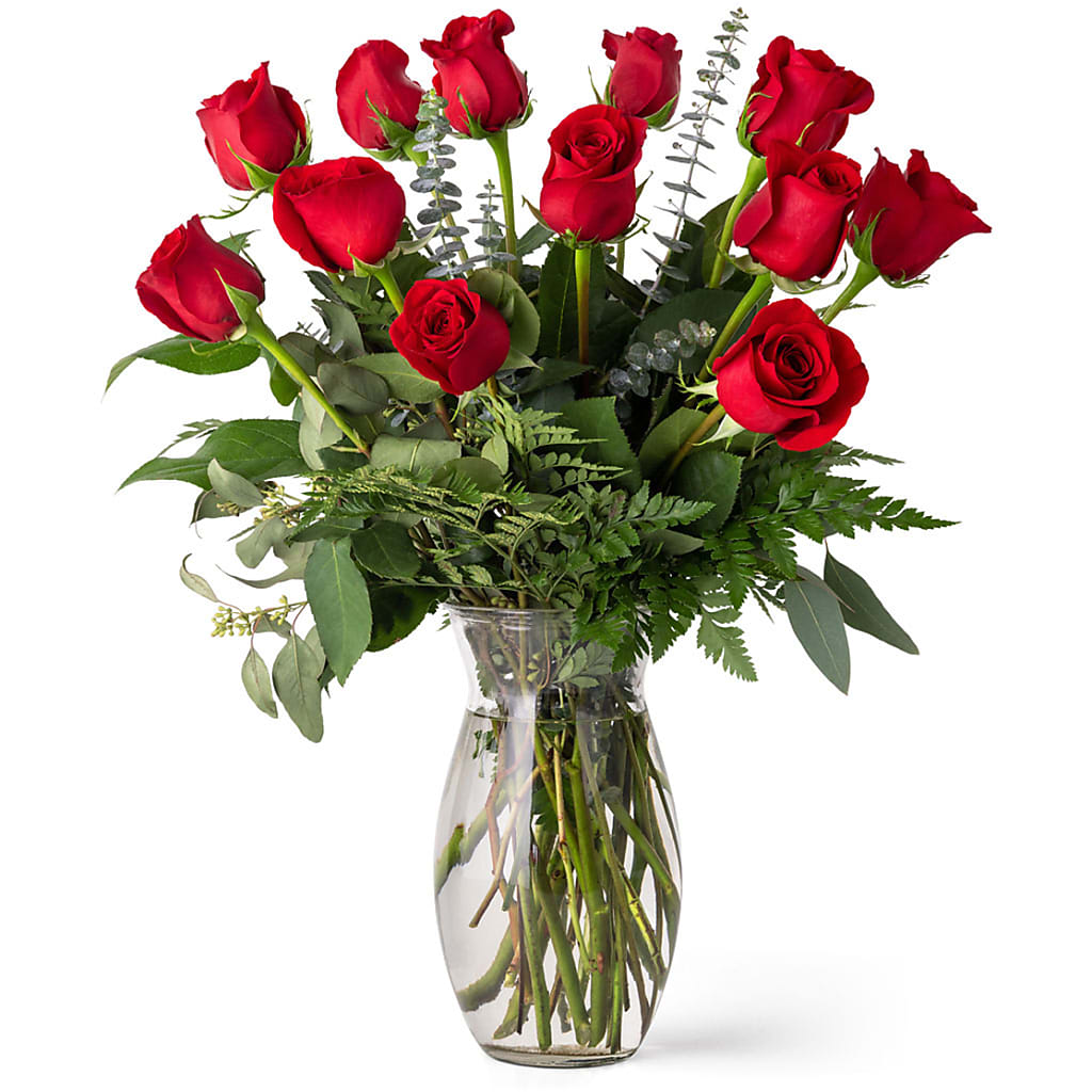 Unforgettable Dozen Rose Red