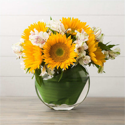 Alluring Sunflower Arrangement –  Haggen, Bellingham WA