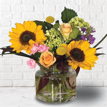 Sunny Elegance Arrangement –  Haggen, Bellingham WA