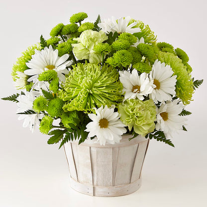 Lucky Charm Basket (Standard) –  Haggen, Bellingham WA