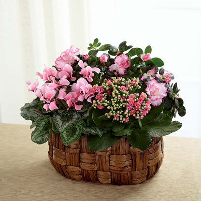 Pink Assortment –  Haggen, Bellingham WA