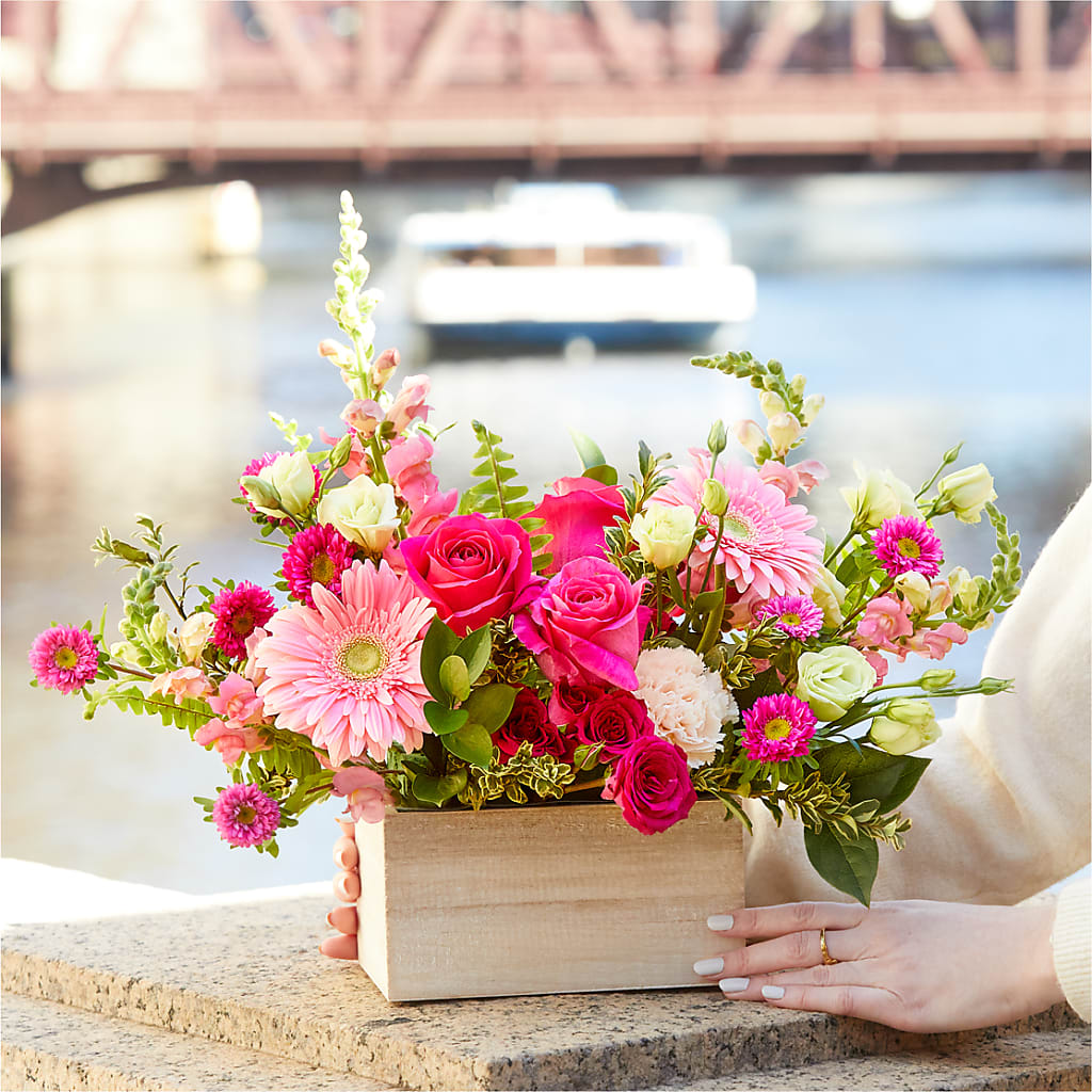Too Cute Bouquet –  Haggen, Bellingham WA
