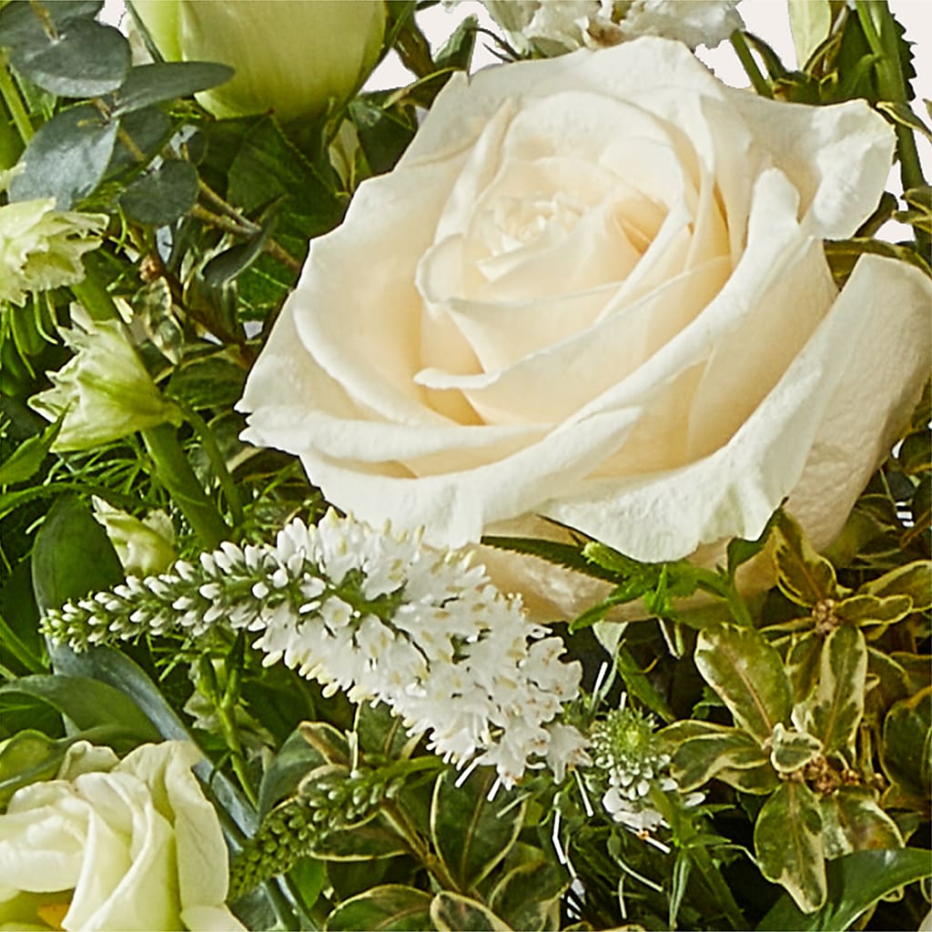 Cashmere Bouquet –  Haggen, Bellingham WA