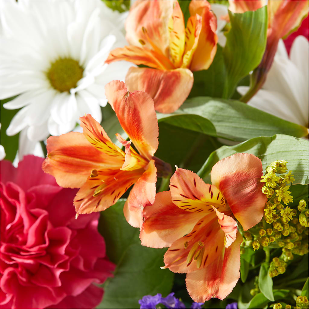 Oopsie Daisy Box Bouquet –  Haggen, Bellingham WA