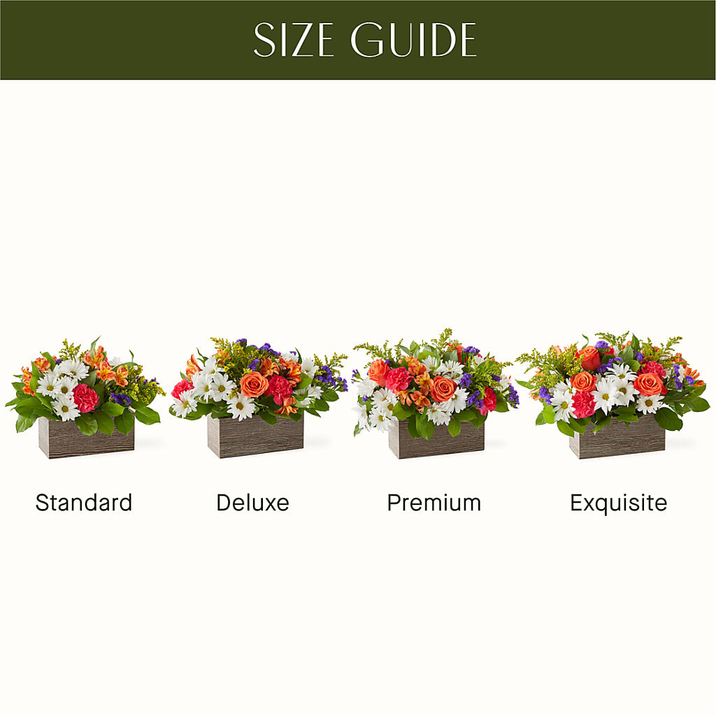Oopsie Daisy Box Bouquet –  Haggen, Bellingham WA