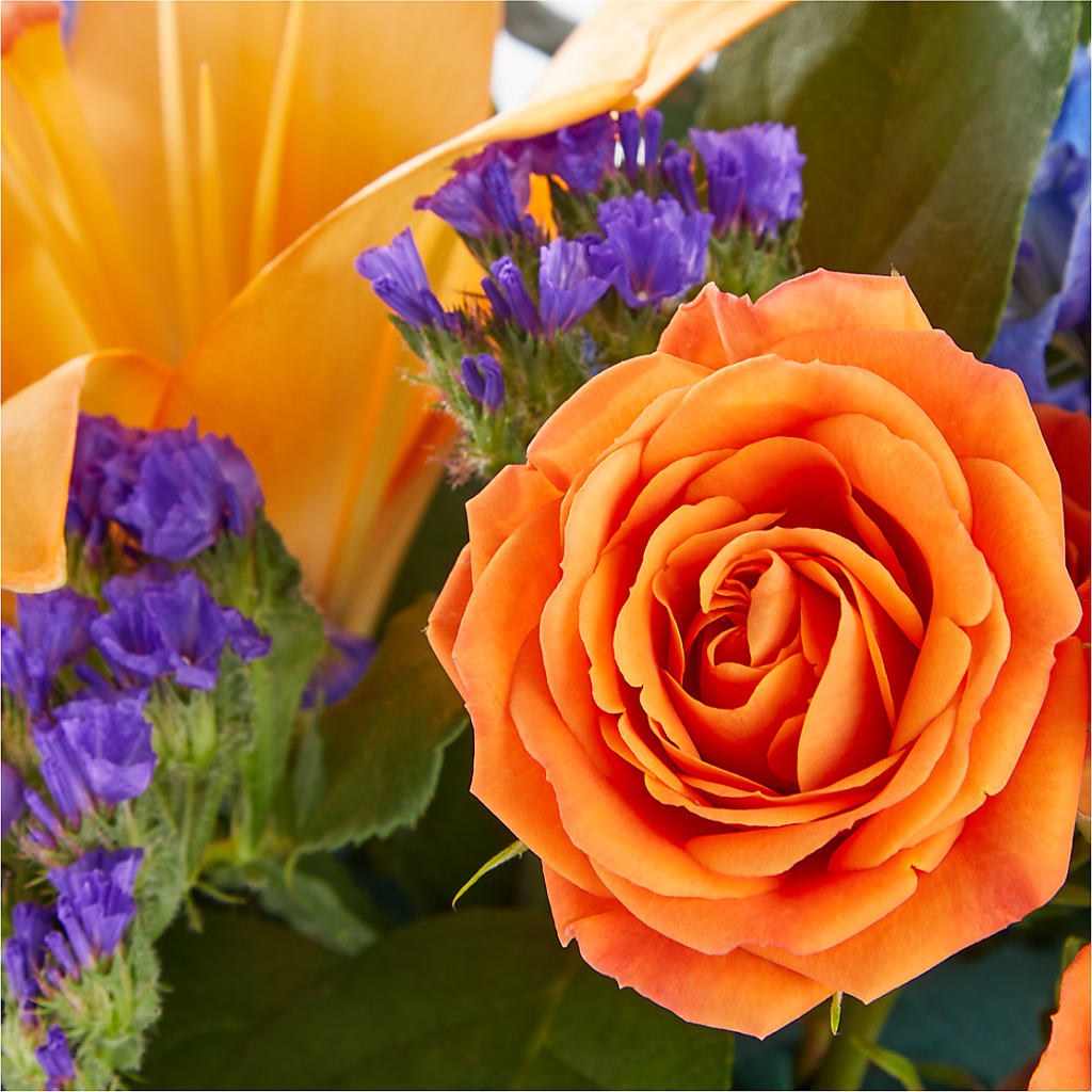 Radiant Citrus Box Bouquet –  Haggen, Bellingham WA