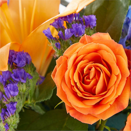 Radiant Citrus Box Bouquet –  Haggen, Bellingham WA