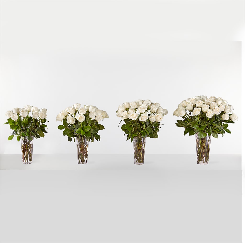 Long Stem White Rose Bouquet –  Haggen, Bellingham WA