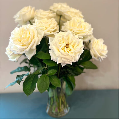 Long Stem Yellow Rose Bouquet –  Haggen, Bellingham WA