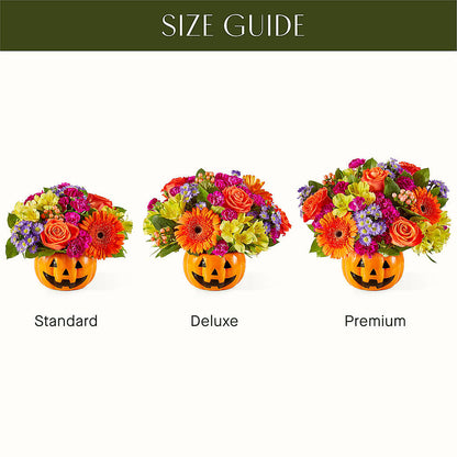 Tricks & Treats Pumpkin –  Haggen, Bellingham WA