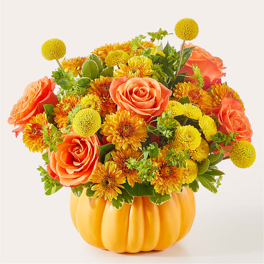 Gourdgeous Pumpkin –  Haggen, Bellingham WA