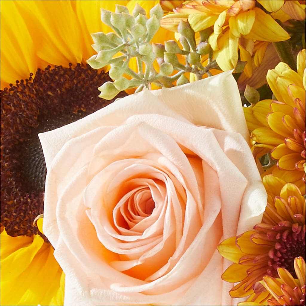 Pumpkin to Talk About Bouquet –  Haggen, Bellingham WA
