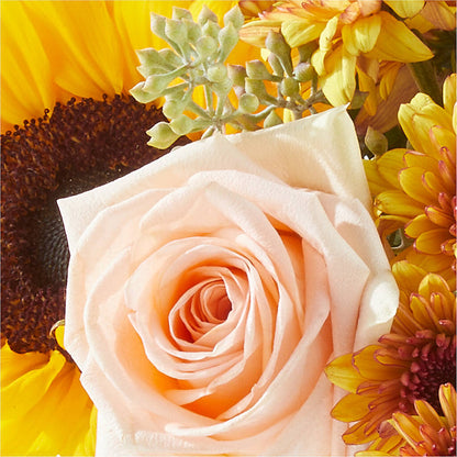 Pumpkin to Talk About Bouquet –  Haggen, Bellingham WA