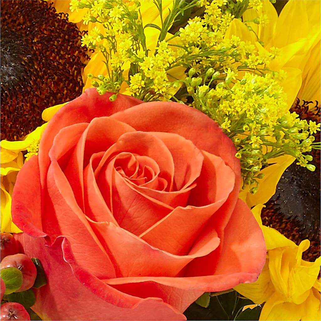 Pick of the Patch Pumpkin Bouquet –  Haggen, Bellingham WA