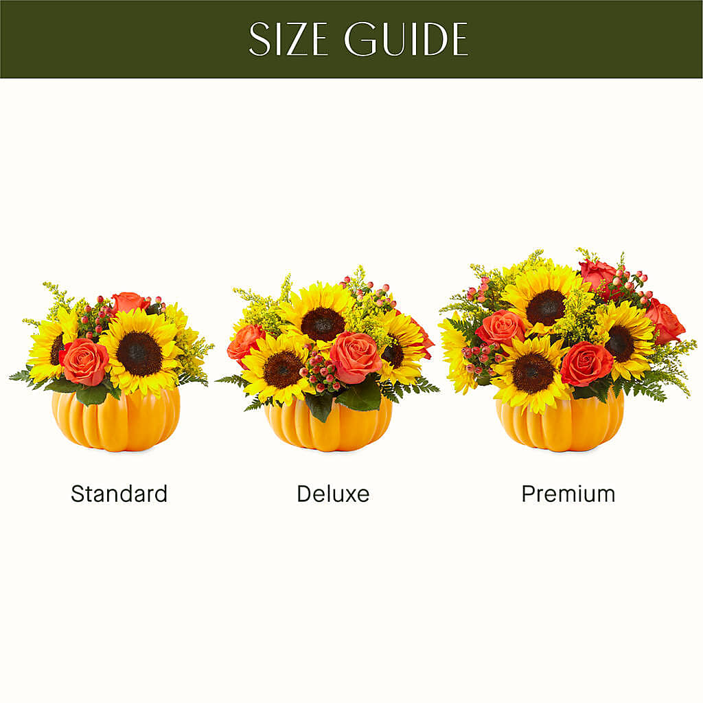 Pick of the Patch Pumpkin Bouquet –  Haggen, Bellingham WA