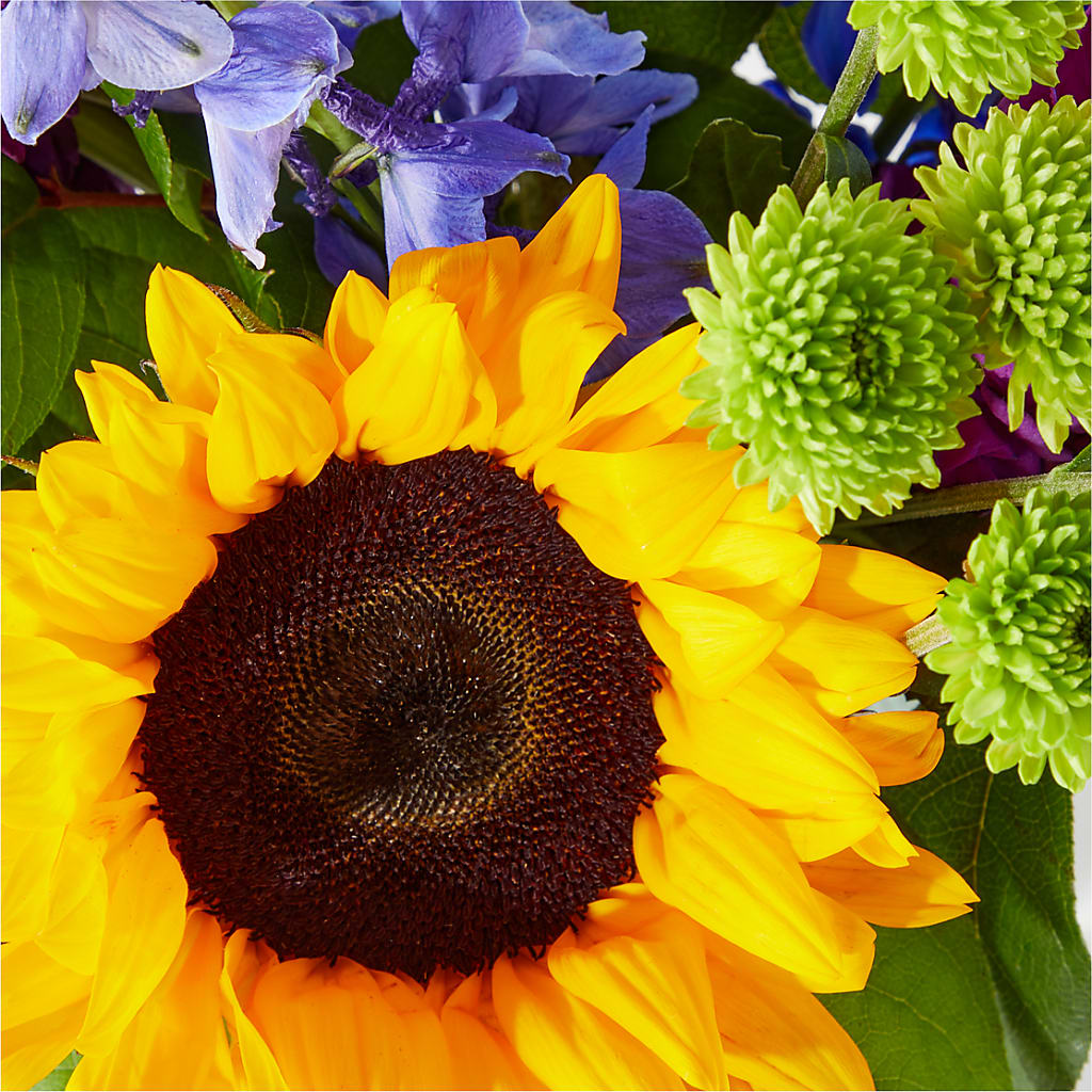 Catching Rays Bouquet –  Haggen, Bellingham WA
