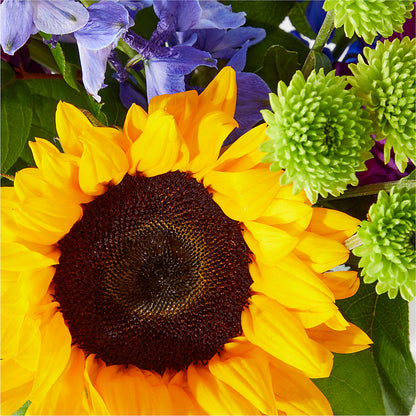 Catching Rays Bouquet –  Haggen, Bellingham WA