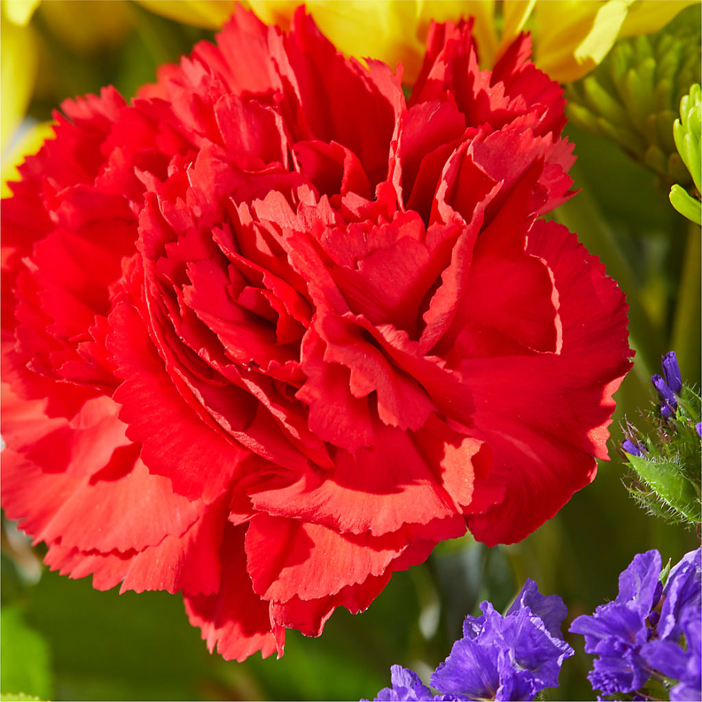 Brighter Days Bouquet –  Haggen, Bellingham WA