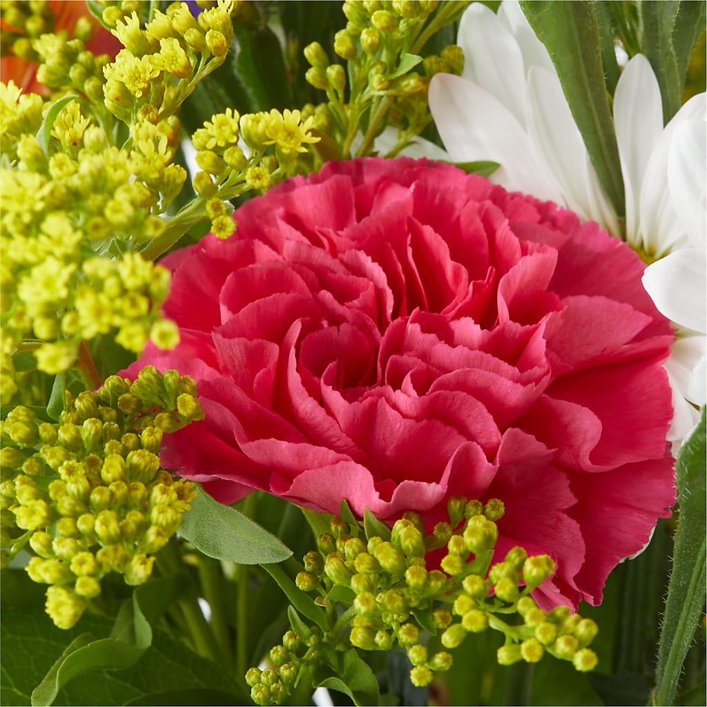 Oopsie Daisy Bouquet –  Haggen, Bellingham WA