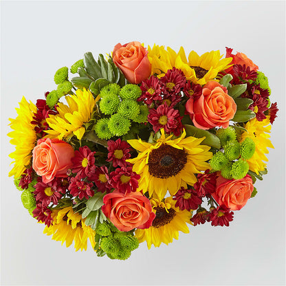Happy Harvest Garden –  Haggen, Bellingham WA