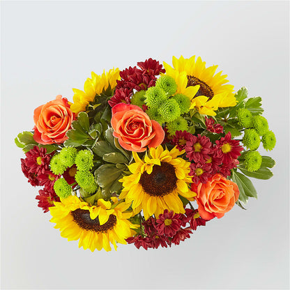 Happy Harvest Garden –  Haggen, Bellingham WA