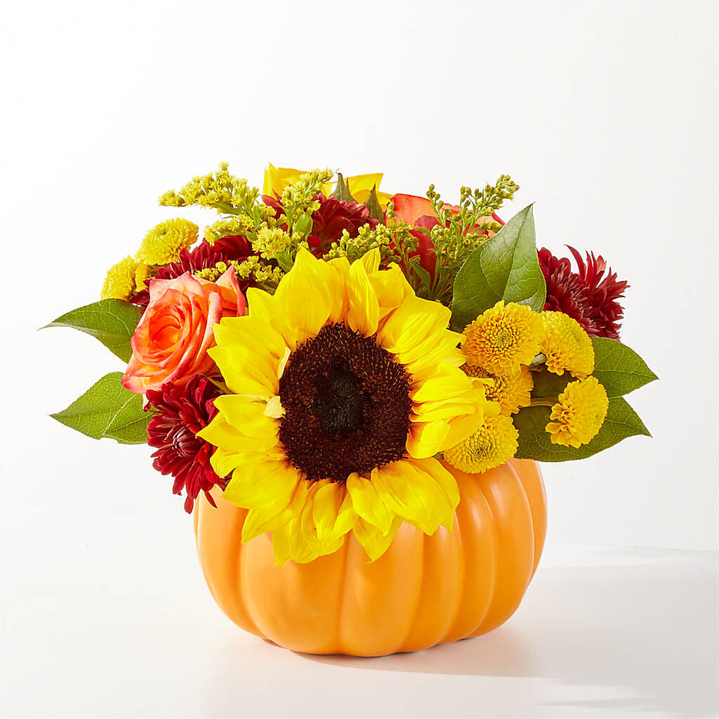 Golden Gourd Pumpkin Bouquet –  Haggen, Bellingham WA