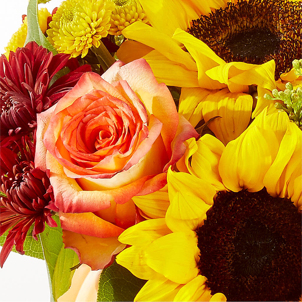 Golden Gourd Pumpkin Bouquet –  Haggen, Bellingham WA