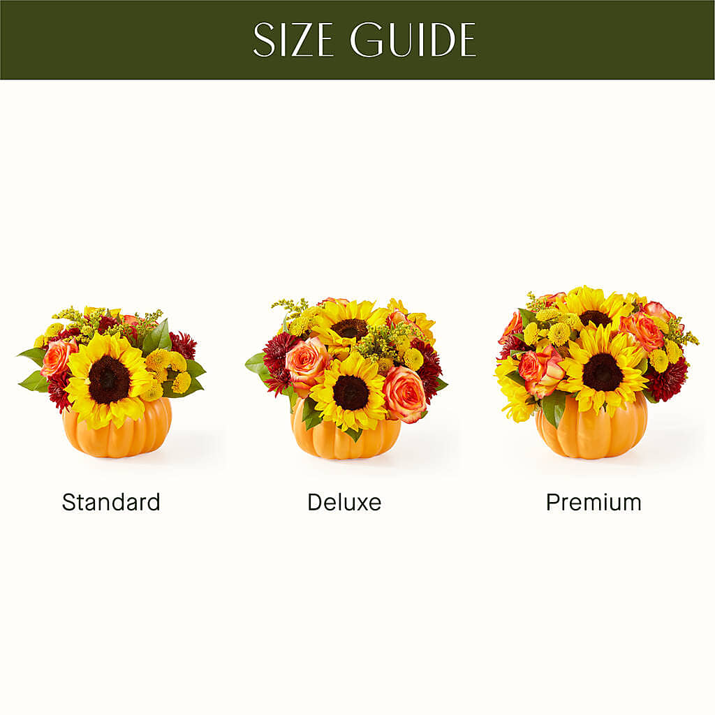Golden Gourd Pumpkin Bouquet –  Haggen, Bellingham WA
