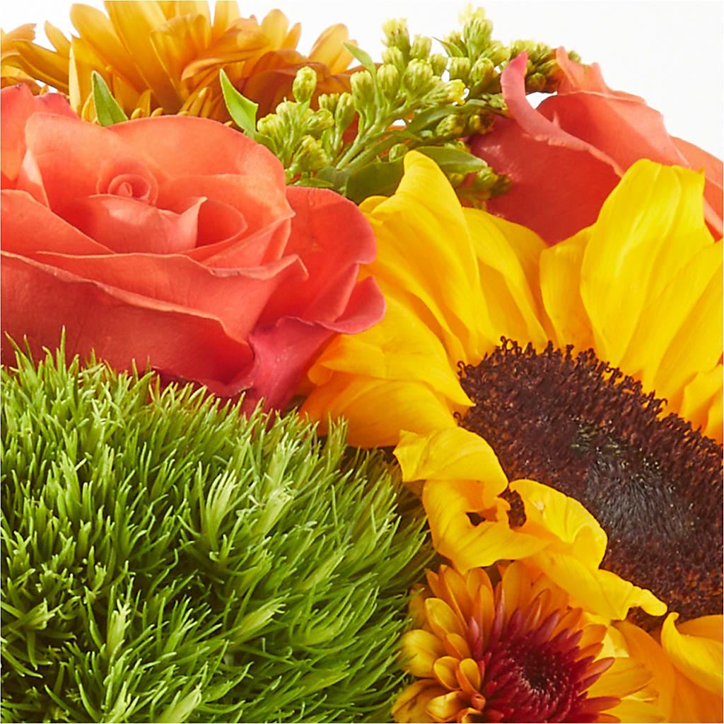 Farmer’s Market Stroll Bouquet –  Haggen, Bellingham WA