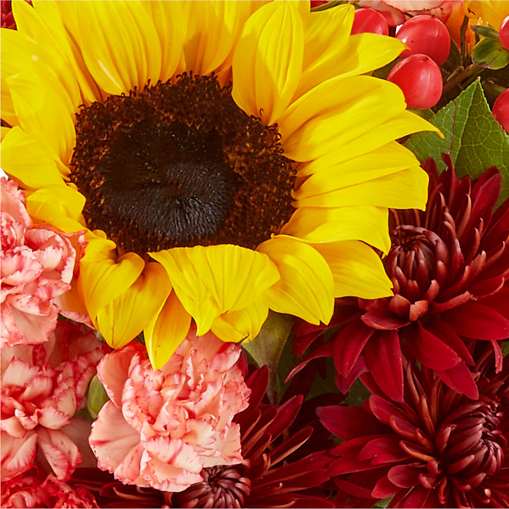 Fresh Cider Bouquet –  Haggen, Bellingham WA