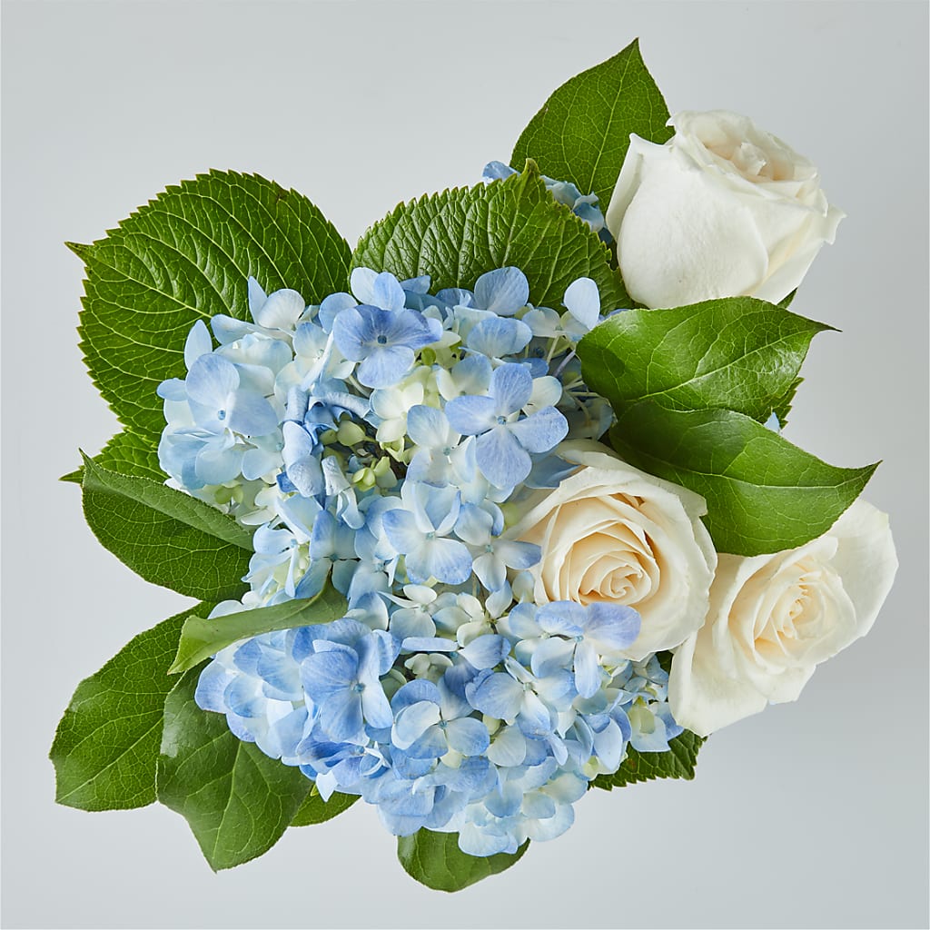 Sky Blue Delight Bouquet –  Haggen, Bellingham WA