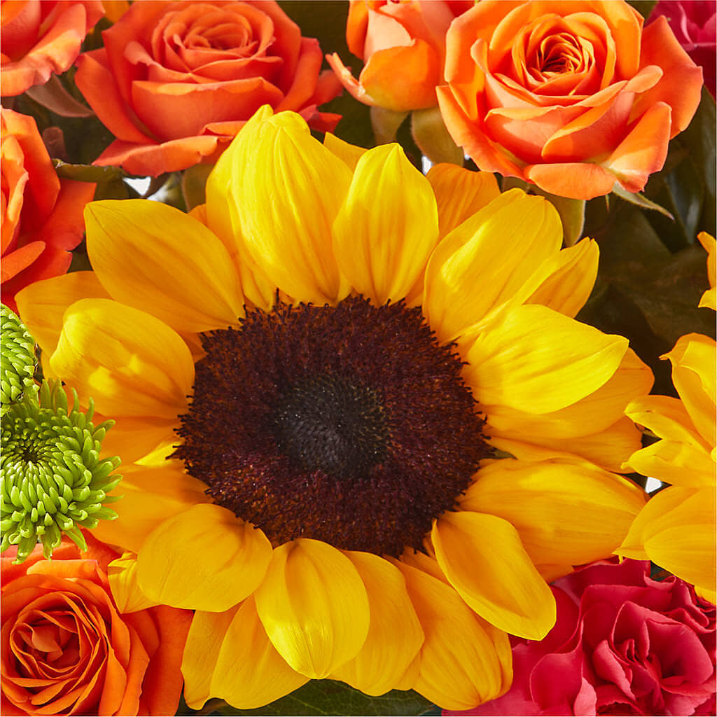 Sun-drenched Blooms Box Bouquet –  Haggen, Bellingham WA