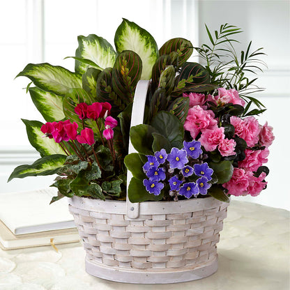 Peaceful Garden Planter –  Haggen, Bellingham WA