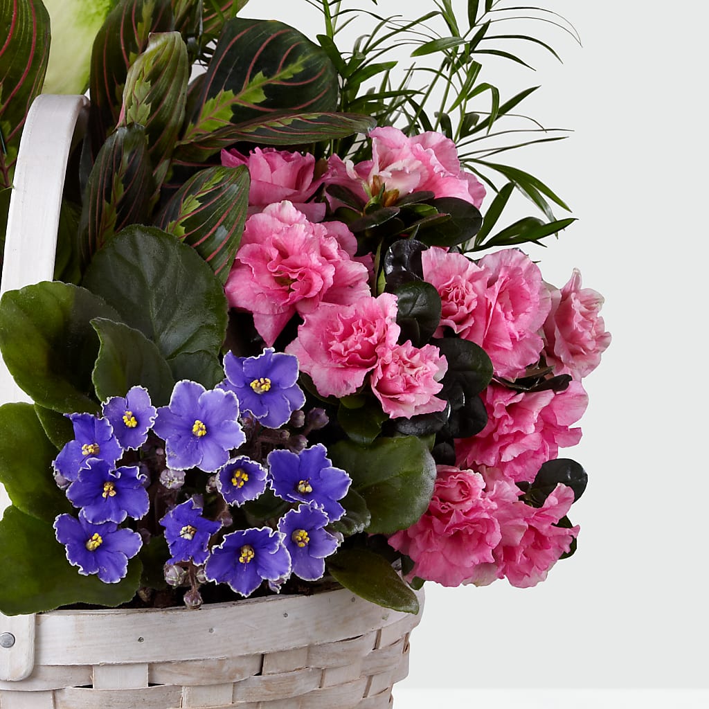 Peaceful Garden Planter –  Haggen, Bellingham WA