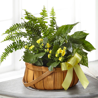 Always Dear Dishgarden –  Haggen, Bellingham WA