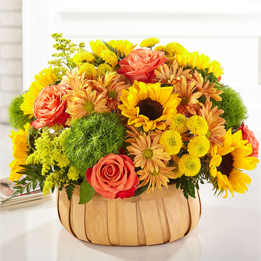 Harvest Sunflower Basket –  Haggen, Bellingham WA
